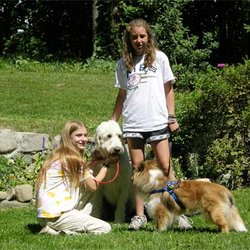 Bokhara Pet Resort & Spa