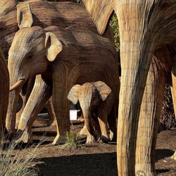 The Great Elephant Migration