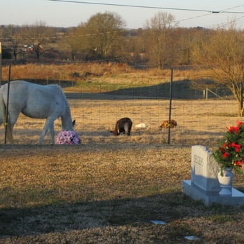 Brashers Chapel Cemetery - Brashers Chapel Cemetery, Albertville, AL - Funeral Services & Cemeteries Near Me Brashers Chapel Cemetery - Brashers Chapel Cemetery, Albertville, AL - Funeral Services & Cemeteries Near Me