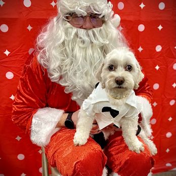PetSmart - Pet Stores Near Me - Las Vegas, Nevada PetSmart - Pet Stores Near Me - Las Vegas, Nevada