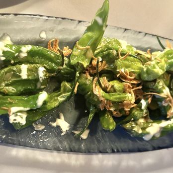 Ocean 44 - Blistered Shishito Peppers - Seafood Near Me - Scottsdale, Arizona