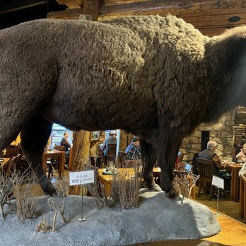Gun Barrel Steak and Game House - Steakhouses Near Me - Jackson, Wyoming Gun Barrel Steak and Game House - Steakhouses Near Me - Jackson, Wyoming