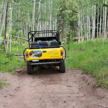 WildSide 4x4 Tours - One of the 4x4's. - Tours Near Me WildSide 4x4 Tours - One of the 4x4's. - Tours Near Me