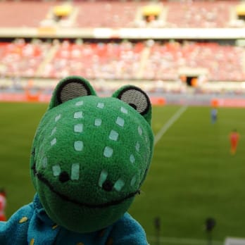 Rheinenergie-Stadion - Stadiums & Arenas Near Me - Cologne, NW Rheinenergie-Stadion - Stadiums & Arenas Near Me - Cologne, NW