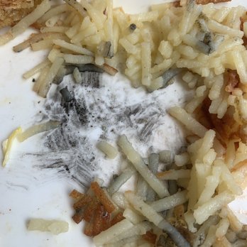Waffle House - Gross stuff in hash browns - Diners Near Me - Diamondhead, Mississippi Waffle House - Gross stuff in hash browns - Diners Near Me - Diamondhead, Mississippi