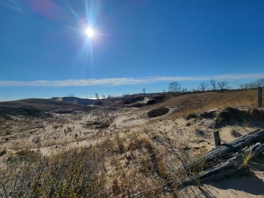 Kohler-Andrae State Park by null