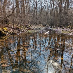 King-Benson Preserve
