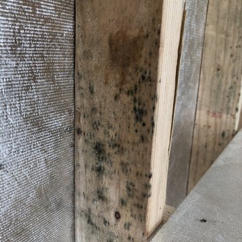 Tuff Shed - Black mold on the studs!! - Sheds & Outdoor Storage Near Me - Concord, California
