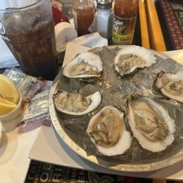 Oysters Oysters