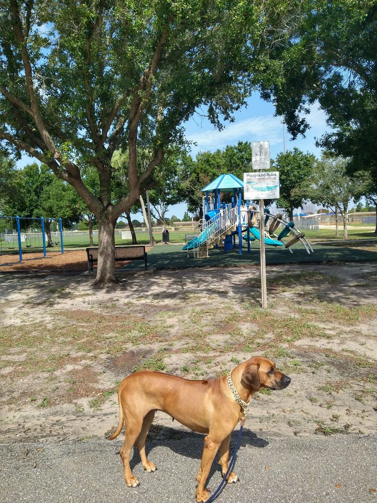 Buffalo Creek Park Image