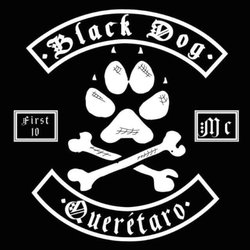 Black Dog