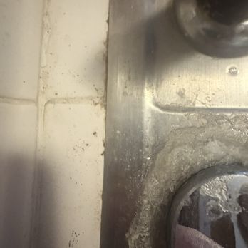 Bricklight Properties - Bedbugs coming out of sides of kitchen sink - Property Management Near Me - Portland, Maine Bricklight Properties - Bedbugs coming out of sides of kitchen sink - Property Management Near Me - Portland, Maine