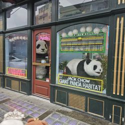 Vancouver Chinatown - Pandas in the windows!