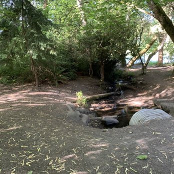 Twin Ponds Park - Stream and trail by one of the ponds. - Parks Near Me - Shoreline, Washington Twin Ponds Park - Stream and trail by one of the ponds. - Parks Near Me - Shoreline, Washington