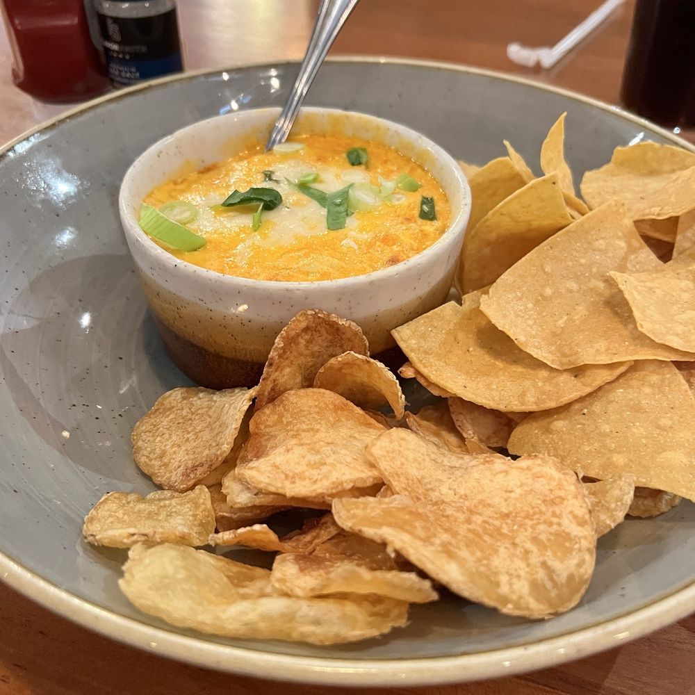Buffalo Chicken Dip Appetizer