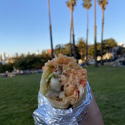 Taqueria El Buen Sabor - fish burrito (no beans or sour cream)
