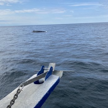 Ocean Explorer - Boat Charters Near Me - Belmar, New Jersey