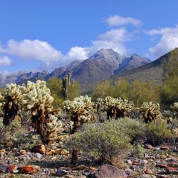 McDowell Sonoran Preserve