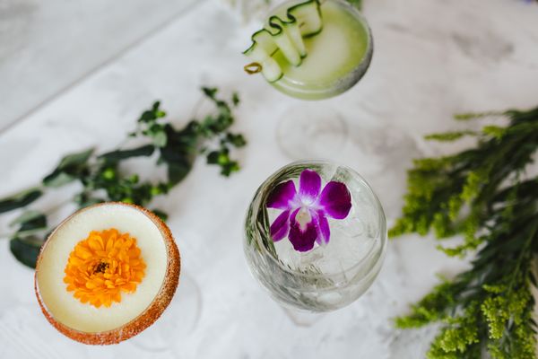 The Alchemists' Garden by null