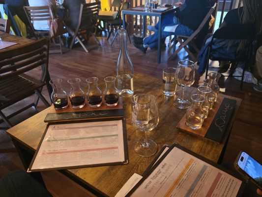 Shelburne Vineyard by null