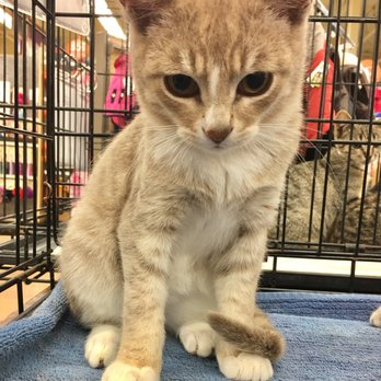 TENDER CARE ANIMAL RESCUE - Updated January 2025 - 37 Photos 