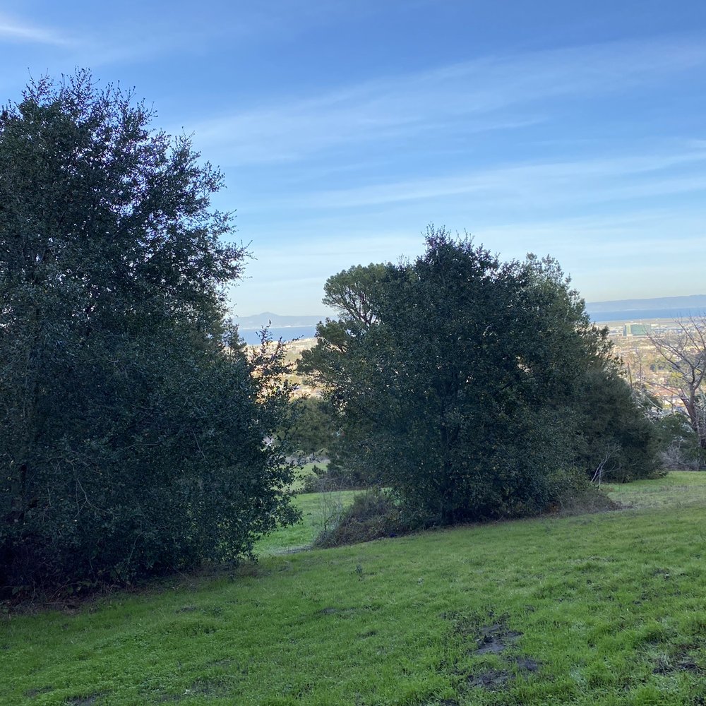 Junipero Serra Park - Parks Near Me - San Bruno, California Junipero Serra Park - Parks Near Me - San Bruno, California