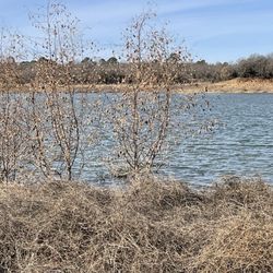 Horseshoe Trail at Lake Grapevine