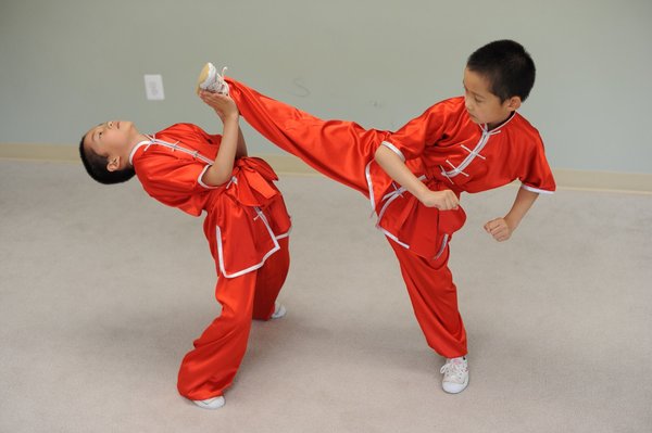 Professional Martial Arts Academy