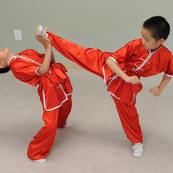 Professional Martial Arts Academy