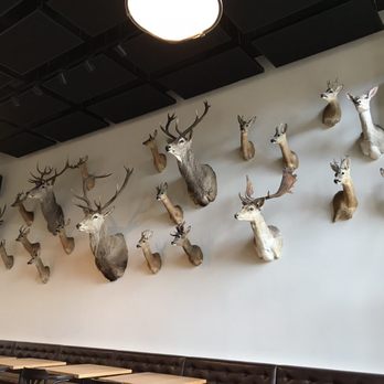 Huisbrouwerij De Halve Maan - Interior on their second floor - Breweries Near Me - Bruges, VWV