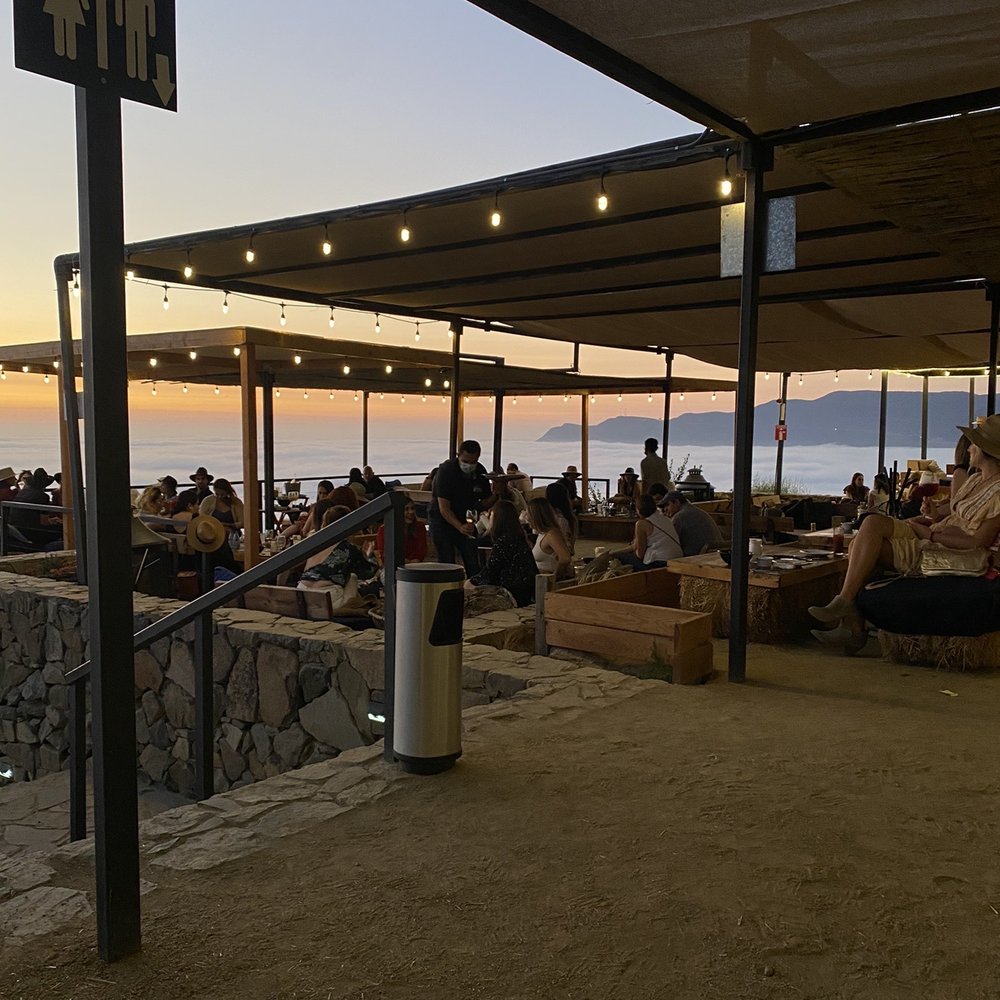 Cabañas Cuatro Cuatros - Dinner at Bura - Wineries Near Me - Ensenada, BCN Cabañas Cuatro Cuatros - Dinner at Bura - Wineries Near Me - Ensenada, BCN