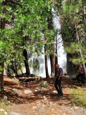 Grizzly Falls Picnic Area by null
