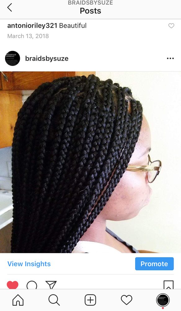 Braidsbysuze Logo