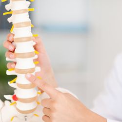 Georgetown Family Chiropractic - Spinal Exam