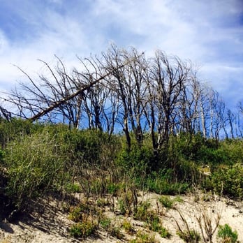 Vetter Mountain Lookout - Hiking Near Me - La Cañada Flintridge, California