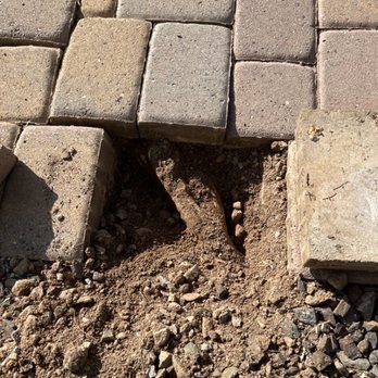 Desert Garden Landscaping - Root that is pushing up driveway pavers. - Landscaping Near Me - Phoenix, Arizona Desert Garden Landscaping - Root that is pushing up driveway pavers. - Landscaping Near Me - Phoenix, Arizona