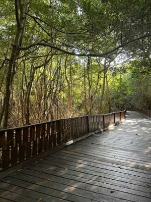 The Fives Beach Hotel & Residences by null