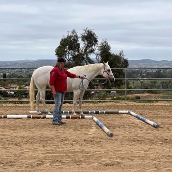 MZ Equestrian - Horse Boarding Near Me - Vista, California MZ Equestrian - Horse Boarding Near Me - Vista, California