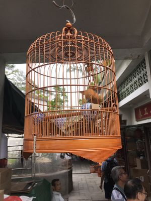 Yuen Po Street Bird Garden by null
