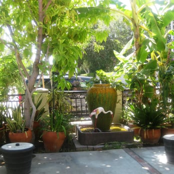 President Thai - Outdoor patio area decor - Thai Near Me - Pasadena, California President Thai - Outdoor patio area decor - Thai Near Me - Pasadena, California