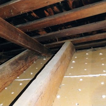911 Attic Insulation - Attic insulation - Insulation Installation Near Me 911 Attic Insulation - Attic insulation - Insulation Installation Near Me