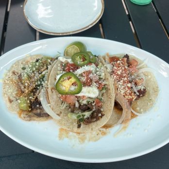 Paloma - Tacos - Mexican Near Me - Shaker Heights, Ohio