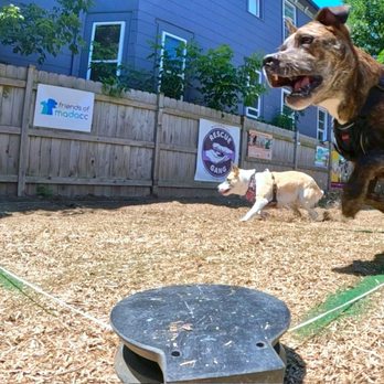 Speed Weenies On Howell - Dog Parks Near Me - Milwaukee, Wisconsin Speed Weenies On Howell - Dog Parks Near Me - Milwaukee, Wisconsin