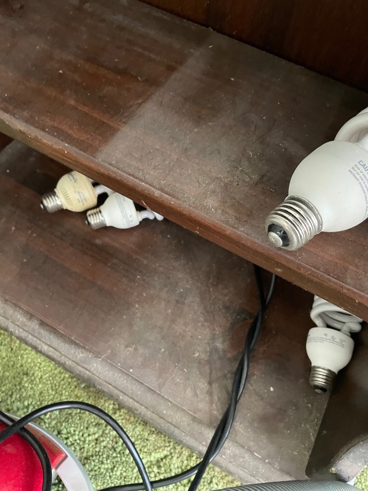 Slide of LA Cleaning & Restoration Services