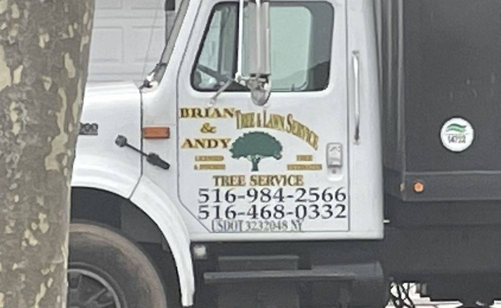 BRIAN & ANDY TREE SERVICE - Updated January 2026 - 15 Photos ...
