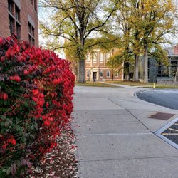 Williams College - On Williams College Campus