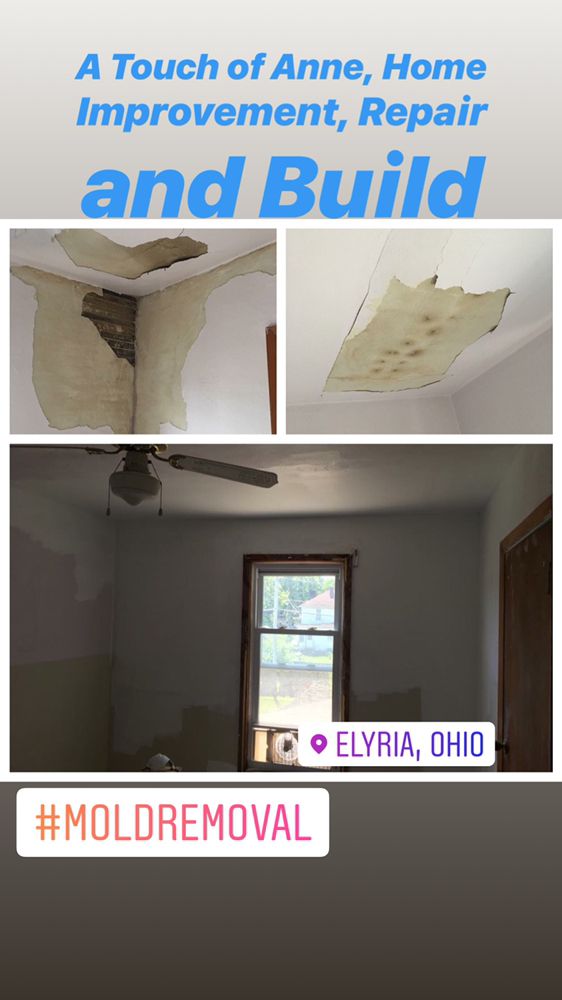 Slide of A Touch of Anne Restoration & Cleaning