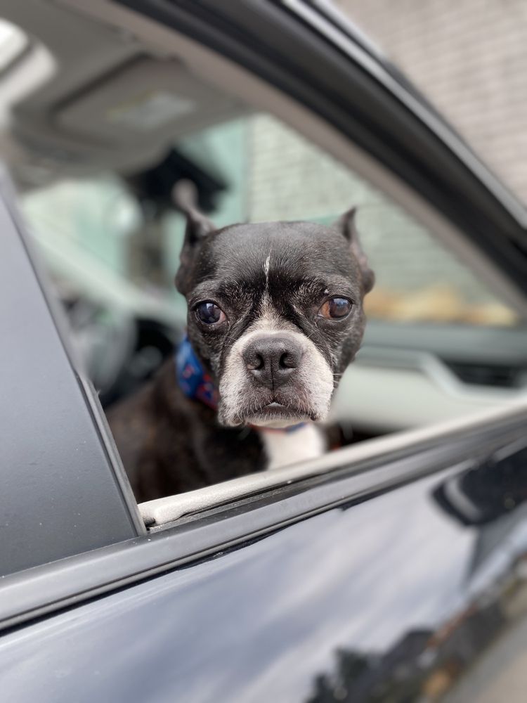 SUNSET FARM Updated September 2024 47 Photos & 14 Reviews 505