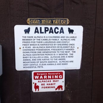 Southwind Farms - Warning: Alpacas may be habit forming! - Farms Near Me - Watertown, Connecticut Southwind Farms - Warning: Alpacas may be habit forming! - Farms Near Me - Watertown, Connecticut