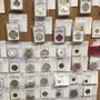 Alii Coins & Currency